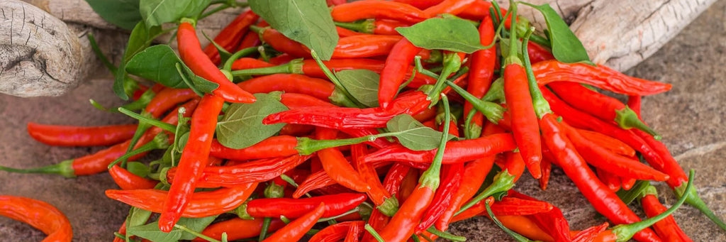 Peri-Peri: Origins and Recipes with the Fiery Portuguese Pepper