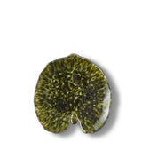 Alchemilla Leaf I Stoneware Small Plate - Dark green