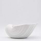 Ceramic Seashell 10.2" - White