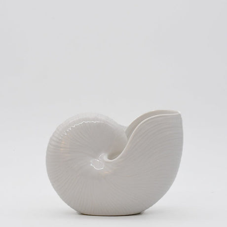 Ceramic Seashell 5.1'' - White