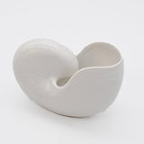 Ceramic Seashell 5.1'' - White