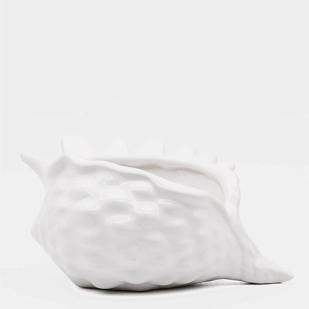 Ceramic Seashell 5.9" - White