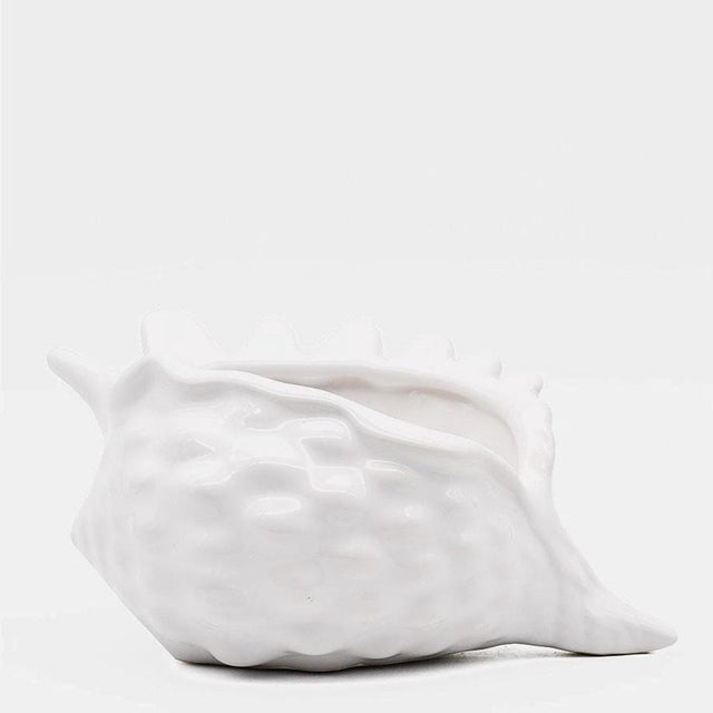 Ceramic Seashell 5.9" - White