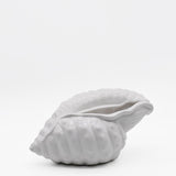 Ceramic Seashell 9.5" - White