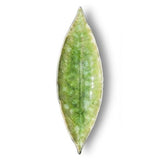 Laurel Leaf I Stoneware Small Plate - Light green