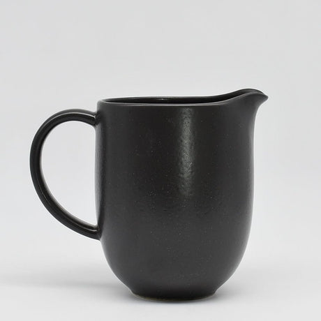 Pacifica I Stoneware Pitcher - Black