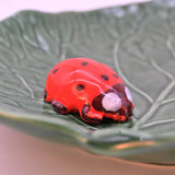 Small Ceramic Dish with a Ladybug - 9.4''