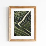 Vineyards I Fine Art Photo by João Cabral